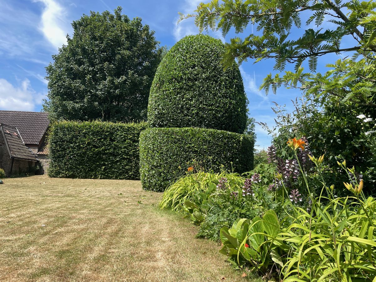 A garden maintained by Lymington Landscapes & Gardens
